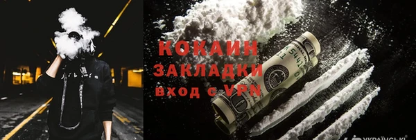 индика Михайловка