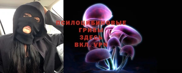 индика Михайловка