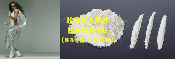 гидра Михайловск