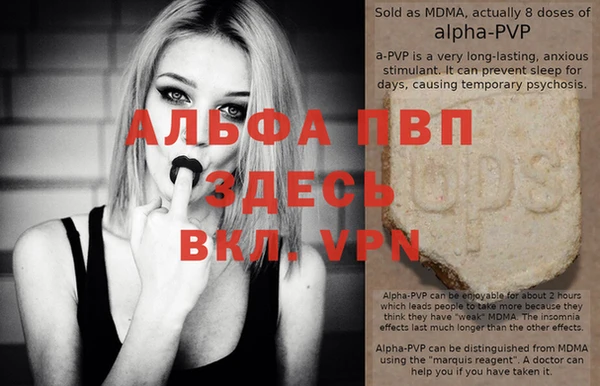 гидра Михайловск