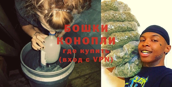 индика Михайловка