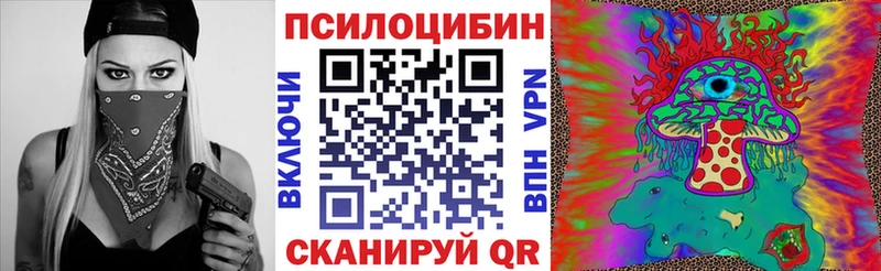 как найти   Нолинск  Галлюциногенные грибы MAGIC MUSHROOMS 