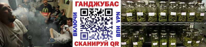 Конопля семена  мега сайт  Нолинск 